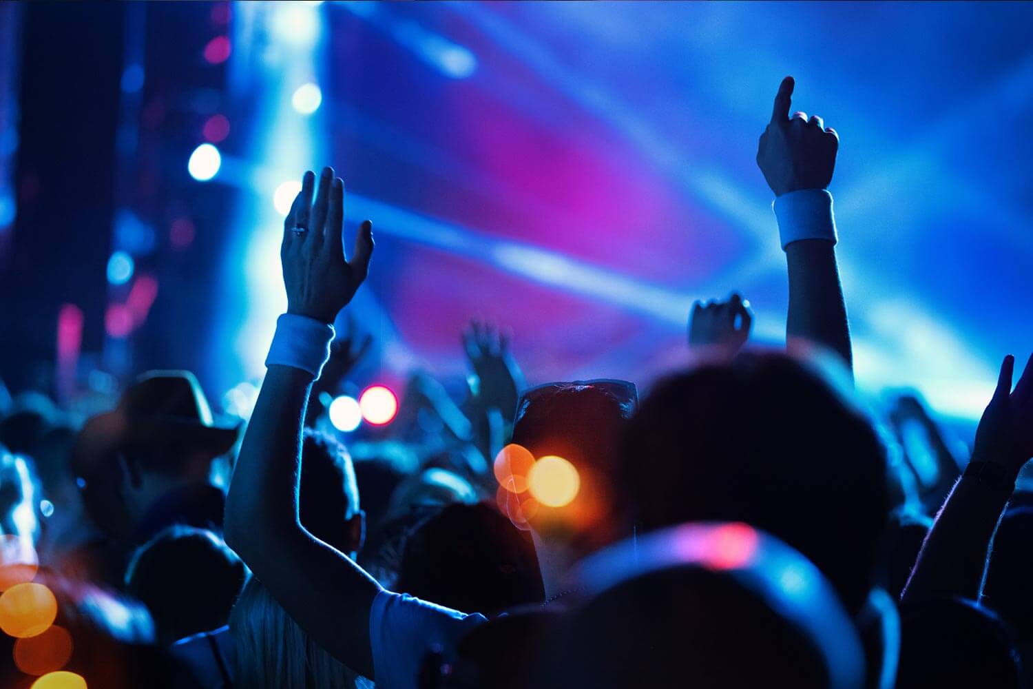 Large group of people at a concert