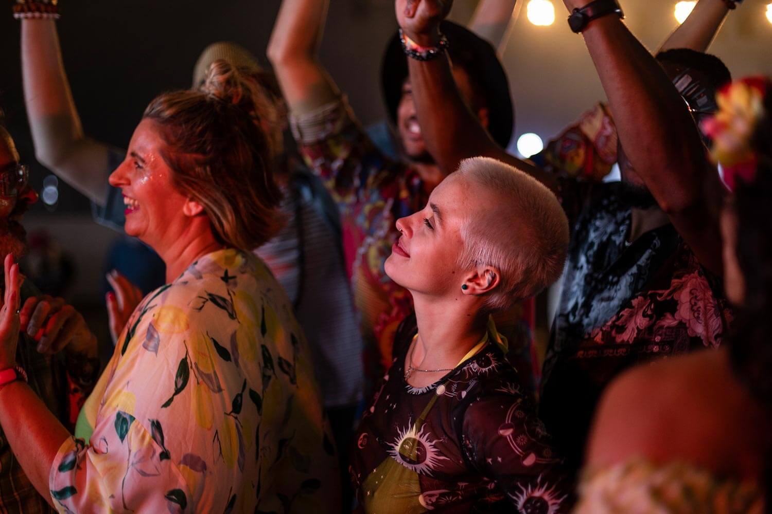 concert crowd enoying the show
