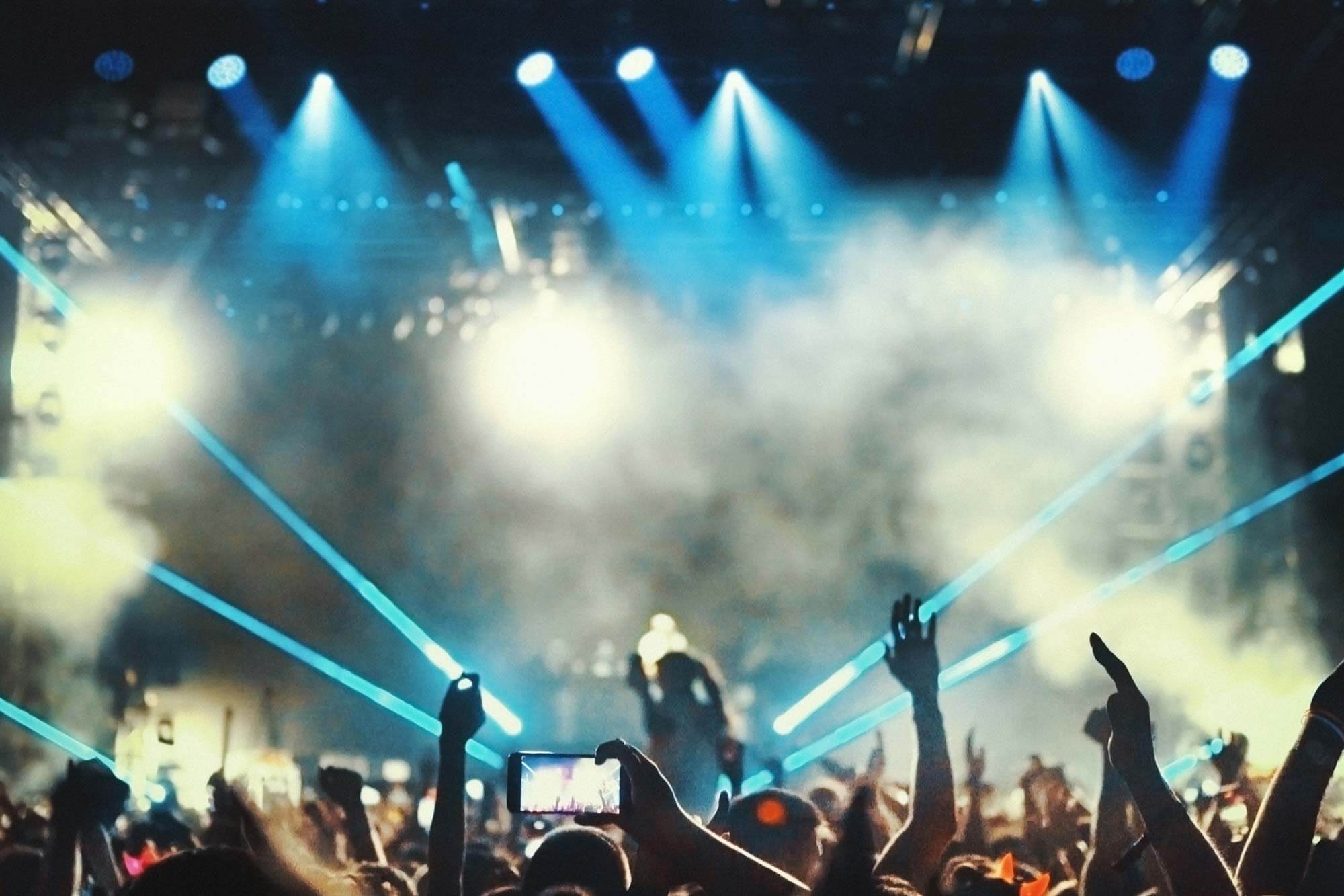 large group of people at a gig