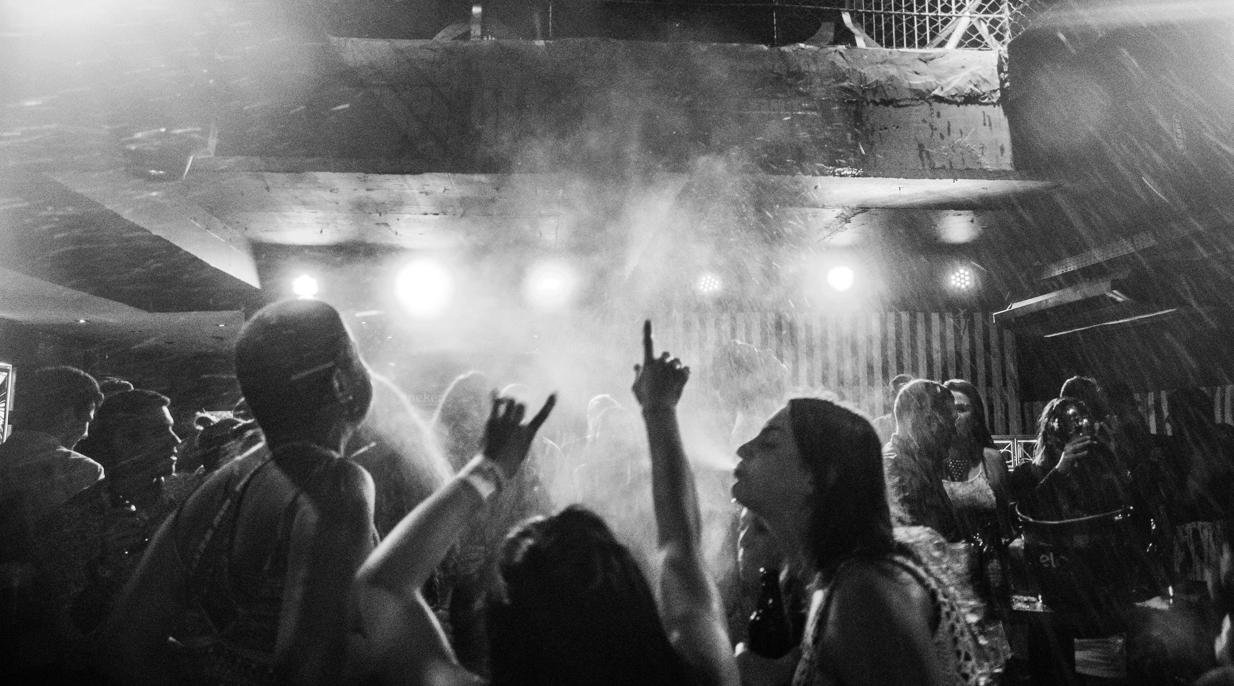 pexels maurício mascaro 788824 (2)