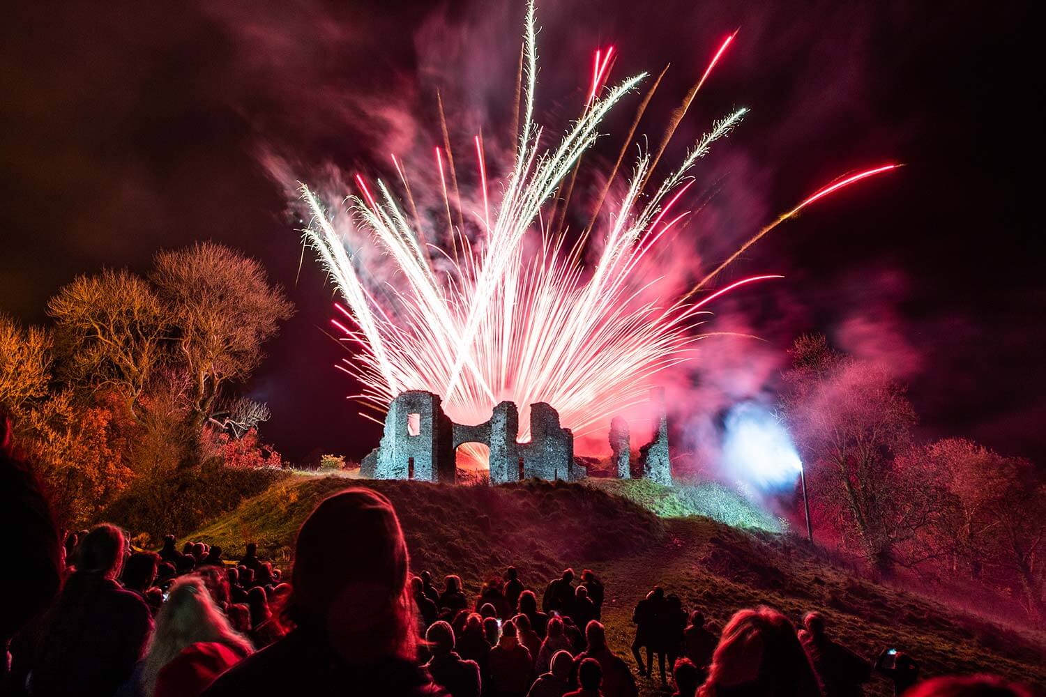 Firework display